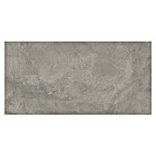 Queens Terrassenfliese (59,3 x 119,3 x 2 cm, Grau, Matt) | BAUHAUS