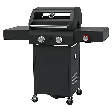 Grillstar  Gasgrill Powerburner 250-1