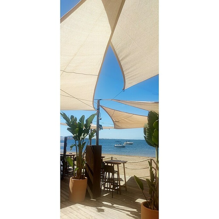 Faura Toldo vela PES (L x An: 3,6 x 3,6 m, Beige, Triangular) | BAUHAUS