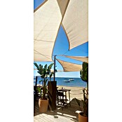 Faura Toldo vela PES (L x An: 3,6 x 3,6 m, Beige, Triangular) | BAUHAUS