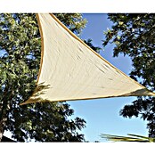 Faura Toldo vela HDPE (L x An: 3,6 x 3,6 m, Beige, Triangular) | BAUHAUS