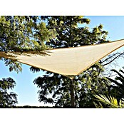 Faura Toldo vela HDPE (L x An: 3,6 x 3,6 m, Beige, Triangular) | BAUHAUS