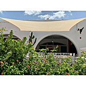 Faura Toldo vela PES (L x An: 6 x 4 m, Beige, Rectangular) | BAUHAUS
