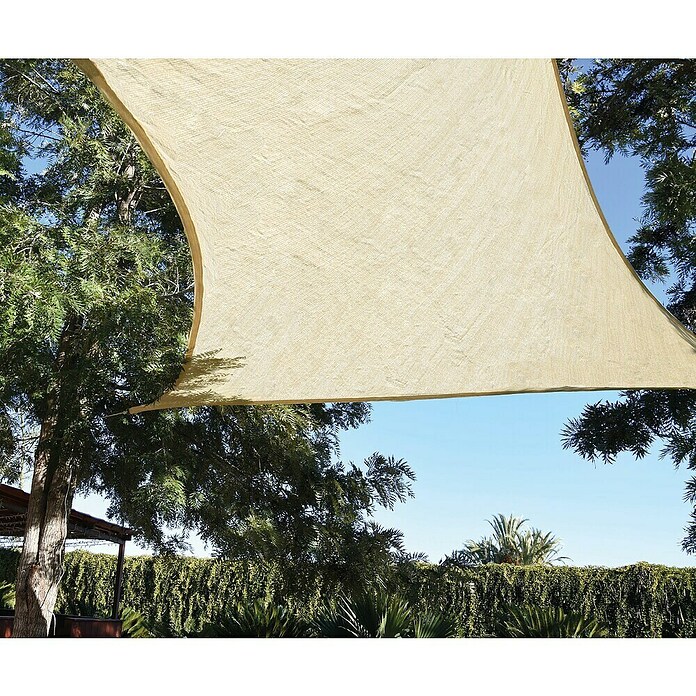 Faura Toldo vela HDPE (L x An: 3,6 x 3,6 m, Beige, Cuadrado) | BAUHAUS