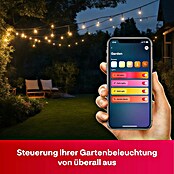 Innr Lighting Smart-Steckdose Smart Plug außen (Innen, Schwarz) | BAUHAUS