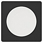 Eglo Fueva 6 Downlight LED empotrable (6 W, 11,7 x 11,7 x 3,1 cm, Negro, 2.700 K - 6.500 K, IP20) | BAUHAUS