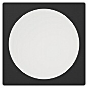 Eglo Downlight LED empotrable Fueva (12 W, 21,6 x 21,6 x 3,1 cm, Negro, 2.700 K - 6.500 K, IP20) | BAUHAUS