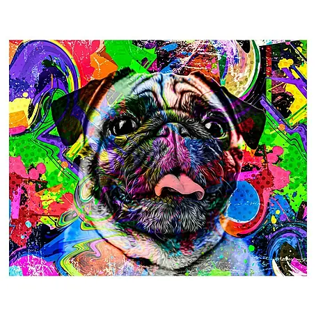 Cuadro alto brillo Perro