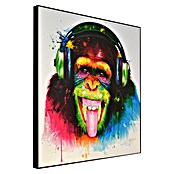 Bild DJ Monkey (DJ Monkey) | BAUHAUS
