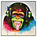 Bild DJ Monkey 
