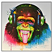 Bild DJ Monkey (DJ Monkey) | BAUHAUS