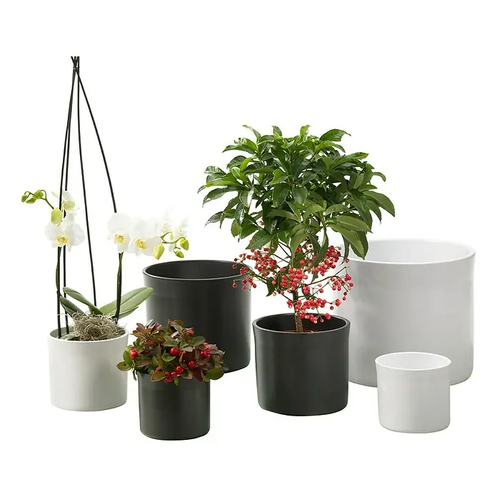 Soendgen Keramik Übertopf rund Miami - Außenmaß (Ø x H): 28 x 23 cm, Anthrazit, Keramik, Matt - Eine Auswahl an Zimmerpflanzen in verschiedenen Töpfen, darunter Orchideen und Grünpflanzen. Die Töpfe sind in Schwarz und Weiß gehalten.