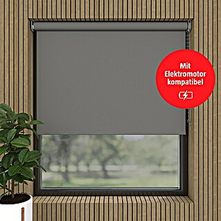 Verdunkelungsrollo Mini Colormatch (B x H: 70 x 150 cm, Grau)