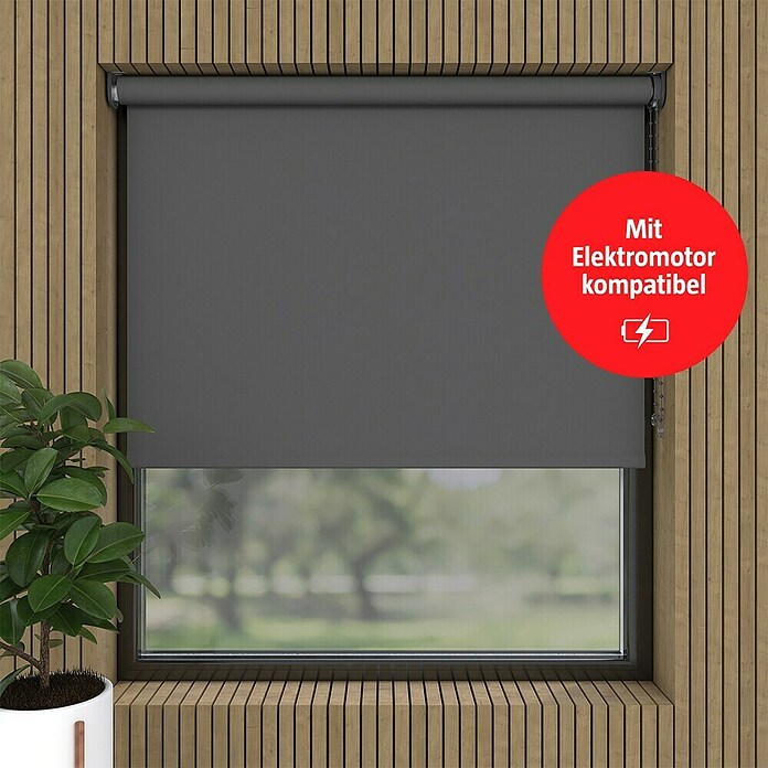 Verdunkelungsrollo Mini Colormatch (B x H: 70 x 150 cm, Anthrazit) | BAUHAUS