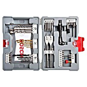 Bosch Boren- en bitset Premium V-Line - 49-delig (49 -delig) | BAUHAUS