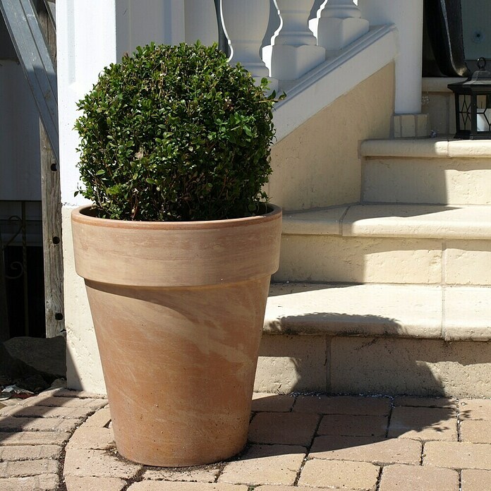 Pflanztopf - Auenma ( x H): 38 x 45 cm, Naturmaterialien, Terracotta  online kaufen bei BAUHAUS