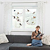Komar Fenstersticker (Birds, Bunt, 31 x 31 cm)