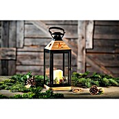 Flower Power LED-Laterne Carla (14,5 x 14,5 x 37 cm, LED-Kerze, Schwarz/Braun) | BAUHAUS