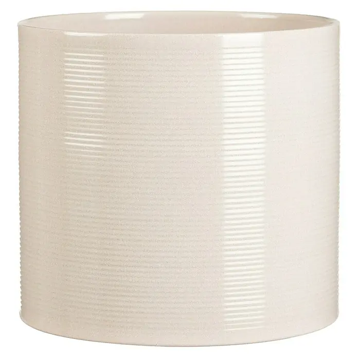 Compo Universaldnger Blaukorn (3 kg) | BAUHAUS