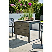 Sunfun Maja Vrtni stol  (D x Š x V: 75 x 74,5 x 75 cm, Tamno siva, Na izvlačenje) | BAUHAUS