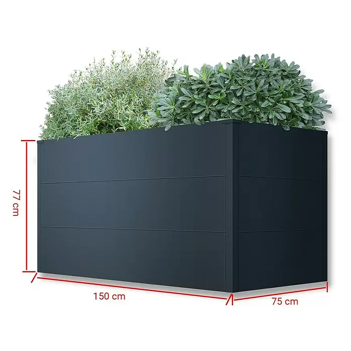 Metzler Hochbeet - 150 x 75 x 77 cm, Stahl, Anthrazit - Großer dunkelgrauer rechteckiger Pflanzkübel (150x77x75 cm) mit grünen Pflanzen gefüllt.