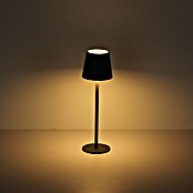 Akumulatorska namizna svetilka 3-v-1  (Barva svetlobe: Večbarvno, LED, Višina: 36 cm) | 3111 - Akkuleuchte dekorativ | CAJB - Outdoorleuchten Akku | CAJ - Outdoorleuchten | CA - Beleuchtung | C - Elektro | BAUHAUS