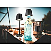 Akumulatorska namizna svetilka 3-v-1  (Barva svetlobe: Večbarvno, LED, Višina: 36 cm) | 3111 - Akkuleuchte dekorativ | CAJB - Outdoorleuchten Akku | CAJ - Outdoorleuchten | CA - Beleuchtung | C - Elektro | BAUHAUS