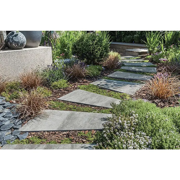 Terrassenplatte Division - 50 x 30 x 4 cm, Grau, Beton - Elegante Trittplatten aus Naturstein im Garten, eingebettet in üppige Bepflanzung und Mulch. Harmonisches Design für einen stilvollen Außenbereich.