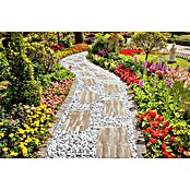 Trittstein Step by Step (35 x 35 x 3,5 cm, Tundra, Beton) | BAUHAUS