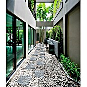 Trittstein Step by Step (35 x 35 x 3,5 cm, Grau, Beton) | BAUHAUS