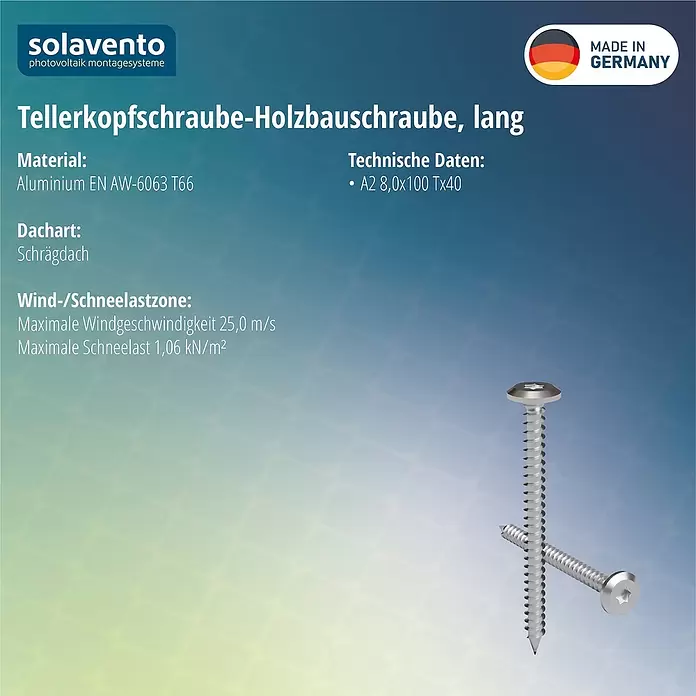 Solavento Tellerkopfschraube Solavento - L x B x H: 100 x 20 x 20 mm, Geeignet für: Schrägdach - Zwei lange, silberne Tellerkopfschrauben mit Torx-Antrieb, eine aufrecht, eine liegend.