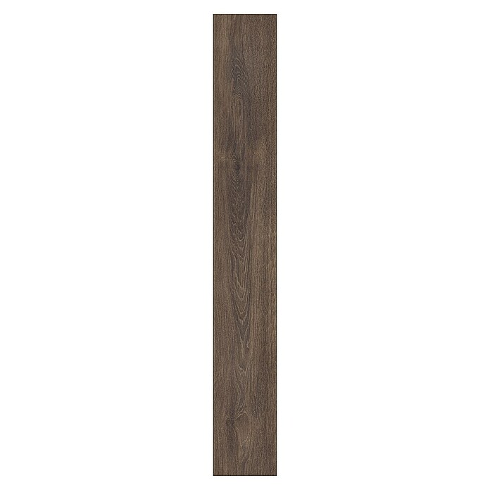 LOGOCLIC Ambienta Vzorec laminata Ambienta hrast Oriolo  (296 x 195 x 1 mm, Rustikalen videz) | 5163 - Zubehör | GCDO - Park+Laminat Zubeh  Pflegem | GCD - Wand Boden Decke Leisten | GC - Wand Boden Decke Leisten | G - Holz/Bauelem | BAUHAUS