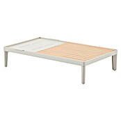 Sunfun Solo Garten-Beistelltisch (L x B x H: 120 x 72 x 26 cm, Light-Greige) | BAUHAUS
