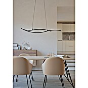Eglo Grisolia Lámpara colgante LED (20 W, L x An x Al: 140 x 7 x 120 cm, Blanco/Negro, RGBW) | BAUHAUS