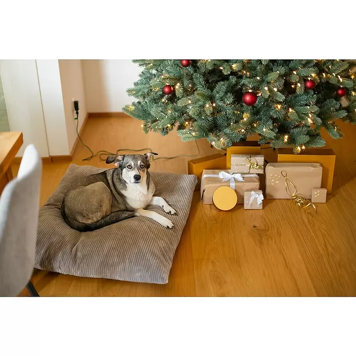 Evergreen Künstlicher Weihnachtsbaum Vermont Fichte - Höhe: 240 cm, Grün, LED-Beleuchtung - Ein Hund ruht bequem auf einem beigefarbenen Cord-Hundebett neben einem geschmückten Weihnachtsbaum mit Geschenken.