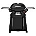 Weber Gasgrill Q 2800 N+ mit Rollwagen 
