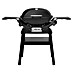 Weber Gasgrill Q 2200 N 