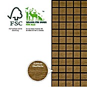 acous Akustikpaneel Blockbuster (Eiche rustikal, L x B x S: 610 x 610 x 10,3 mm, 4 Stk.) | BAUHAUS