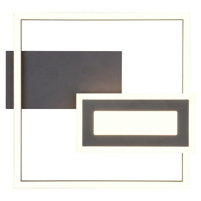 Trio Lighting Plafón LED para pared y techo Spiro (22 W, L x An x Al: 30 x 33 x 4 cm, Negro, Blanco cálido) | BAUHAUS