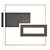 Trio Lighting Plafón LED para pared y techo Spiro (22 W, L x An x Al: 30 x 33 x 4 cm, Negro, Blanco cálido) | BAUHAUS