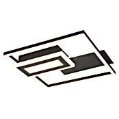 Trio Lighting Plafón LED para pared y techo Spiro (22 W, L x An x Al: 30 x 33 x 4 cm, Negro, Blanco cálido) | BAUHAUS