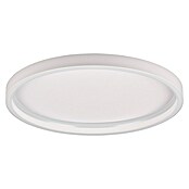 Trio Leuchten Zidna i stropna LED svjetiljka Rotonda  (20 W, Ø x V: 35 x 5 cm, Topla bijela) | BAUHAUS
