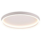 Trio Leuchten Zidna i stropna LED svjetiljka Rotonda  (20 W, Ø x V: 35 x 5 cm, Topla bijela) | BAUHAUS