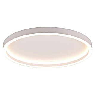 Trio Lighting Plafón LED para pared y techo Rotonda (20 W, Ø x Al: 35 x 5 cm, Blanco, Blanco cálido)