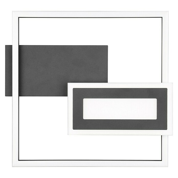 Trio Lighting Plafón LED para pared y techo Spiro (22 W, L x An x Al: 30 x 33 x 4 cm, Negro, Blanco cálido) | BAUHAUS