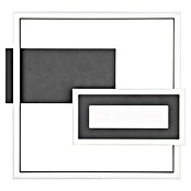 Trio Lighting Plafón LED para pared y techo Spiro (22 W, L x An x Al: 30 x 33 x 4 cm, Negro, Blanco cálido) | BAUHAUS