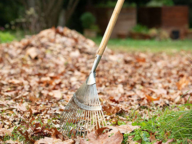 Rasen im November