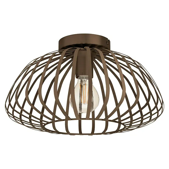 Eglo Lámpara colgante Espinal -  - La lámpara de techo de jaula marrón con una bombilla Edison es un verdadero reclamo. El diseño moderno encaja perfectamente en cualquier habitación.