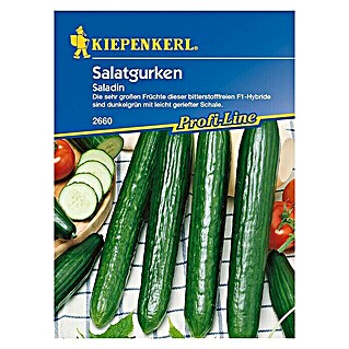Kiepenkerl Profi-Line Gemüsesamen Gurke Saladin F1 (Cucumis sativus, Erntezeit: Juni)