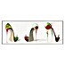 Bild Scarpe da Cocktail 